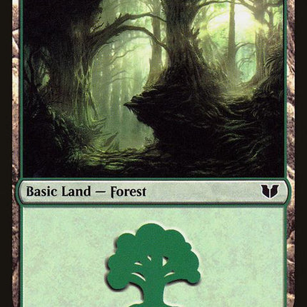 342-forest