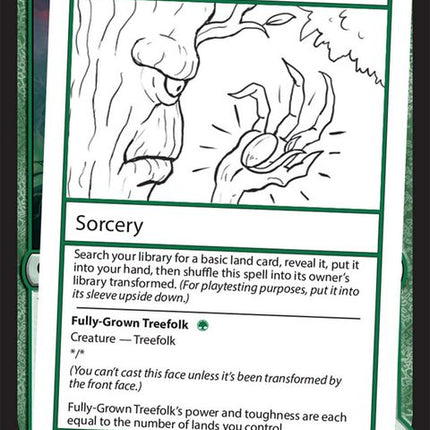 344-plantasaplingfullygrowntreefolk-a