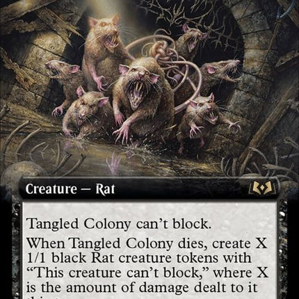344-tangledcolony