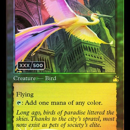 344z-birdsofparadise