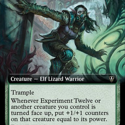 347-experimenttwelve