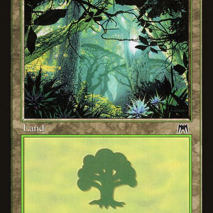 347-forest