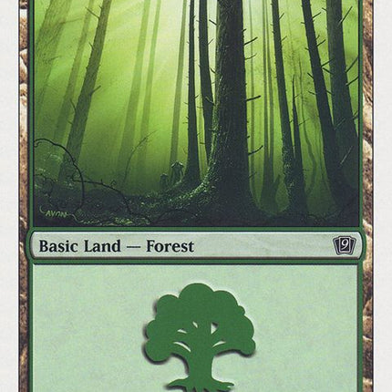 348-forest