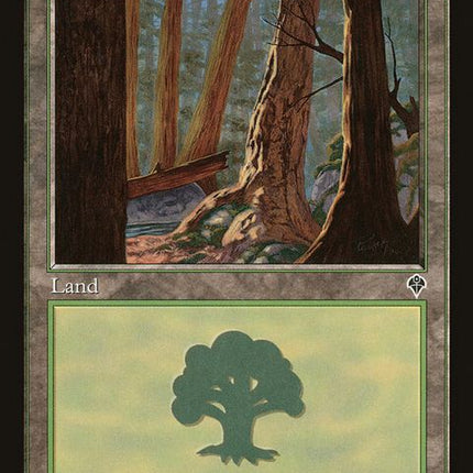 348-forest