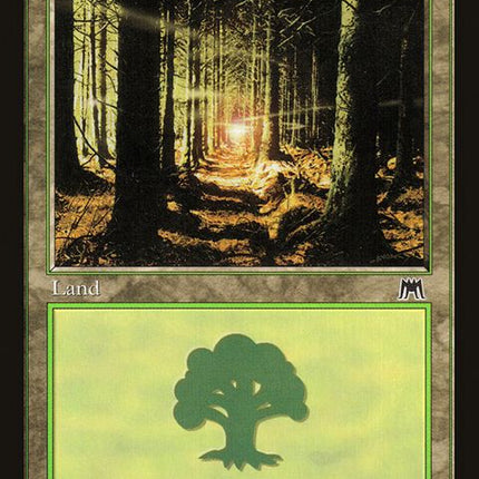 349-forest