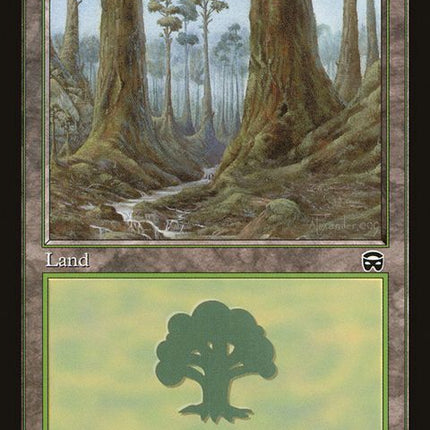 349-forest