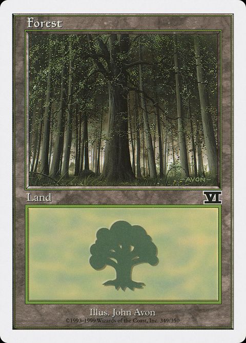 349-forest