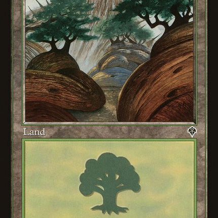 349-forest