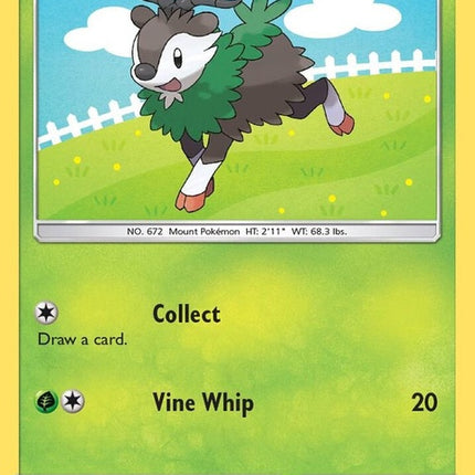 35-skiddo