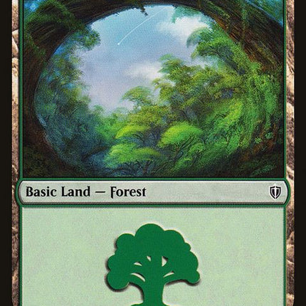 350-forest