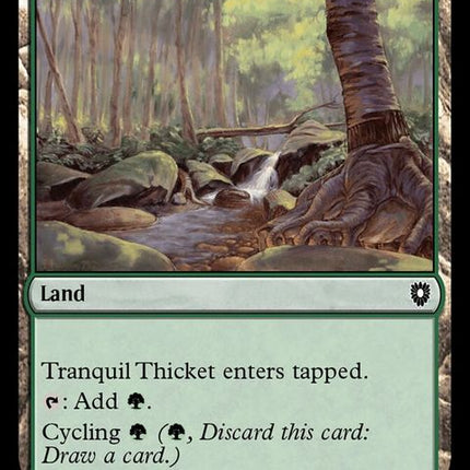 350-tranquilthicket