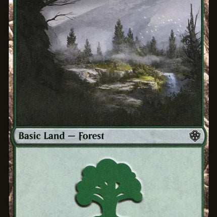 351-forest