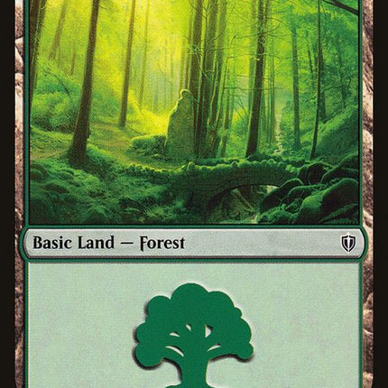 351-forest