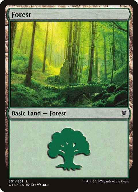 351-forest