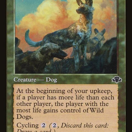 351-wilddogs