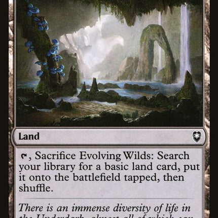 352-evolvingwilds