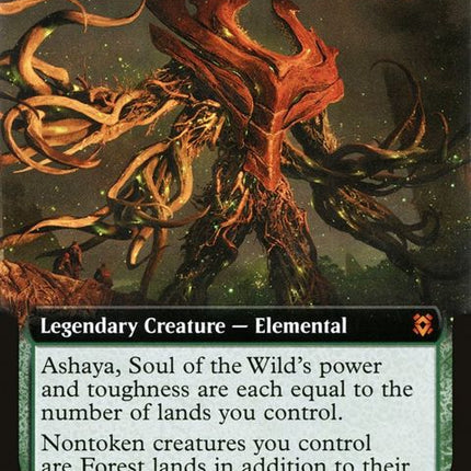 358-ashayasoulofthewild