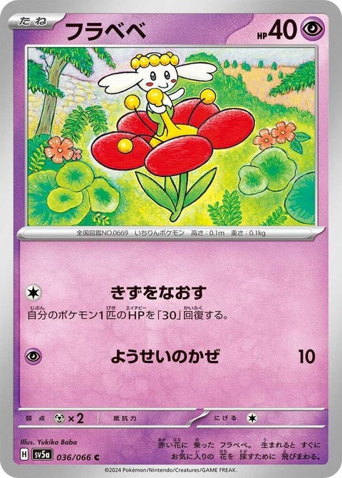 36-flabebe