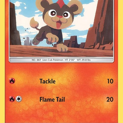 36-litleo