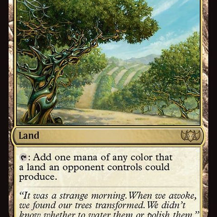 360-exoticorchard