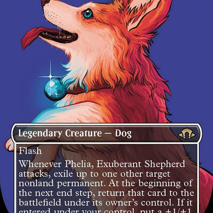 364-pheliaexuberantshepherd