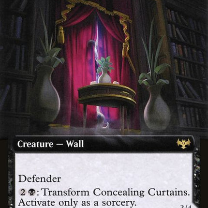 367-concealingcurtainsrevealingeye