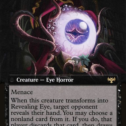 367-concealingcurtainsrevealingeye