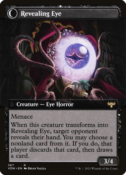 367-concealingcurtainsrevealingeye