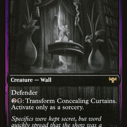 368-concealingcurtainsrevealingeye