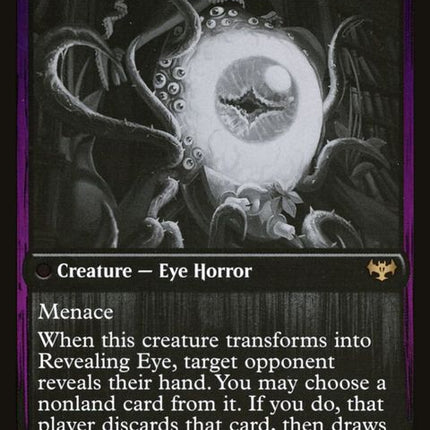 368-concealingcurtainsrevealingeye