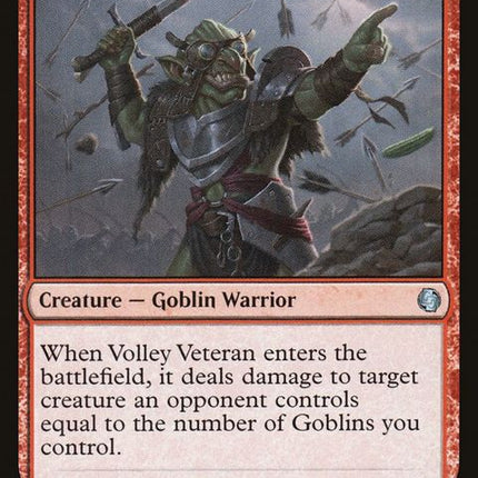 369-volleyveteran