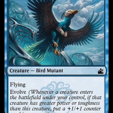 37-cloudfinraptor