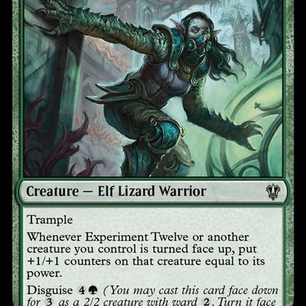 37-experimenttwelve