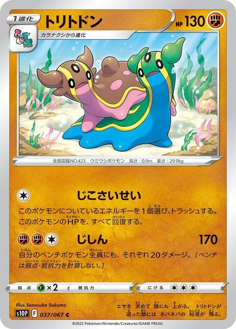37-gastrodon