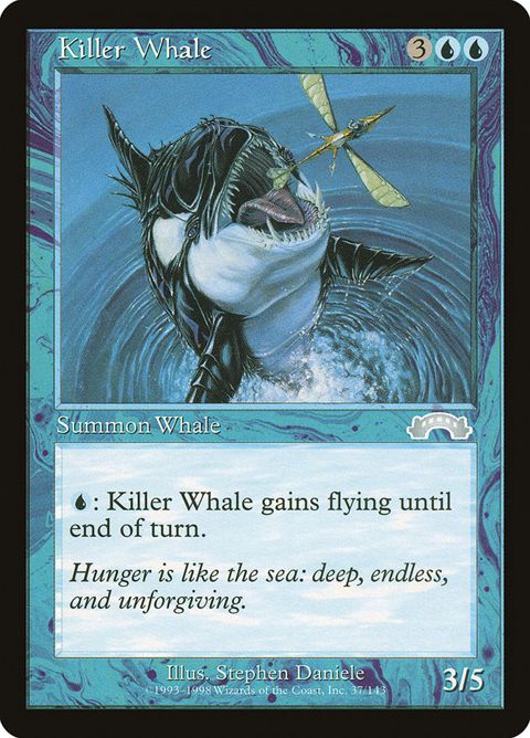 37-killerwhale