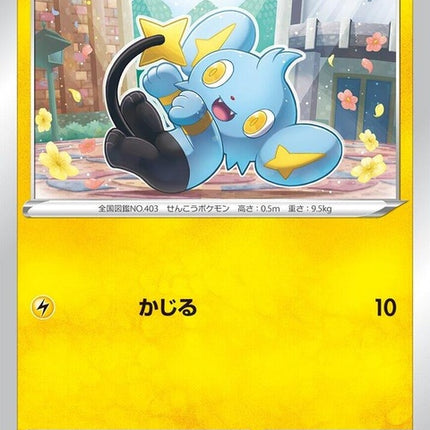 37-shinx