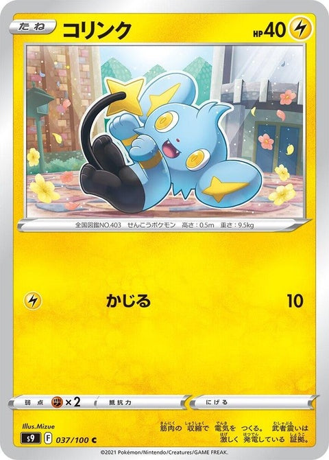 37-shinx
