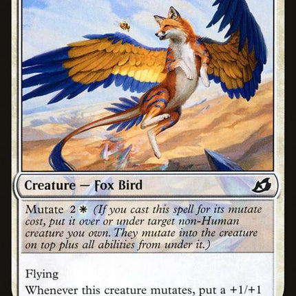37-vulpikeet