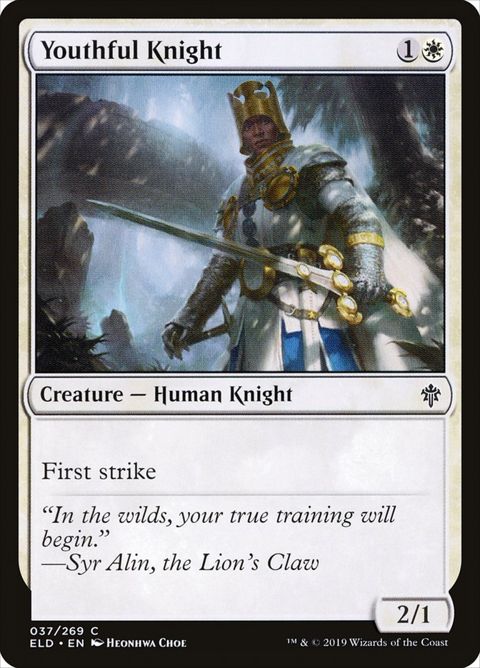 37-youthfulknight