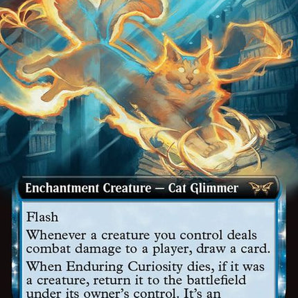 371-enduringcuriosity