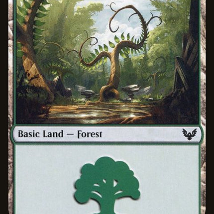 374-forest