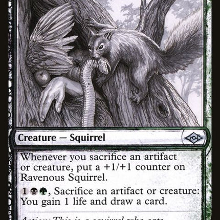 375-ravenoussquirrel