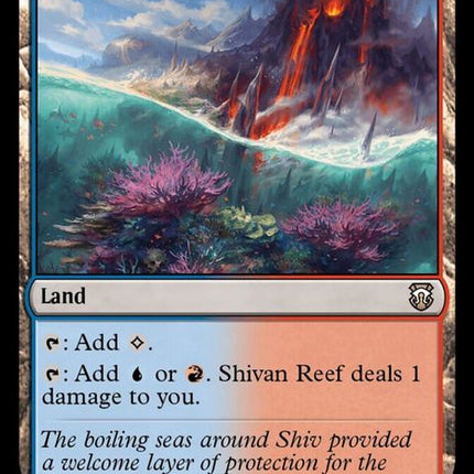 375-shivanreef