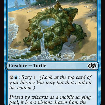 376-tidepoolturtle
