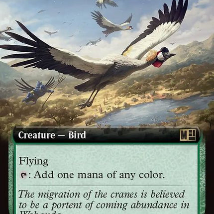 377-birdsofparadise