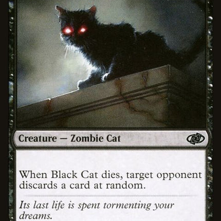 377-blackcat