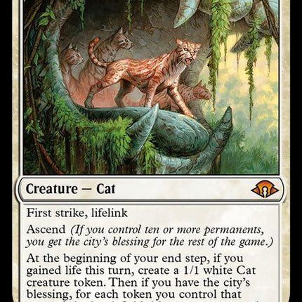 38-ocelotpride