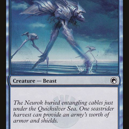 38-platedseastrider