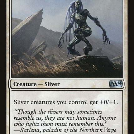 38-steelformsliver