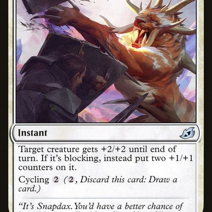 38-willoftheallhunter
